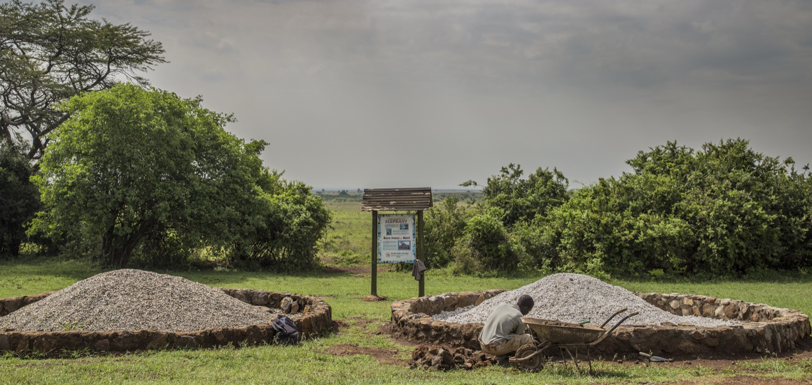 Dos túmulos de marfil incautado y calcinado en Kenia, con un cartel que dice «Burn Ivory… Ban!» al fondo.